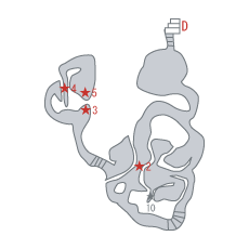 地図：薬草園の洞窟 [B4]