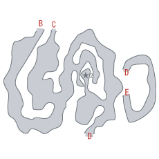 地図：神鳥の巣(光) [F2]