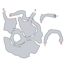 地図：神鳥の巣(光) [F4]