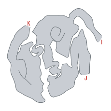 地図：神鳥の巣(光) [F5]