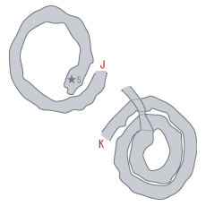地図：神鳥の巣(光) [F5]